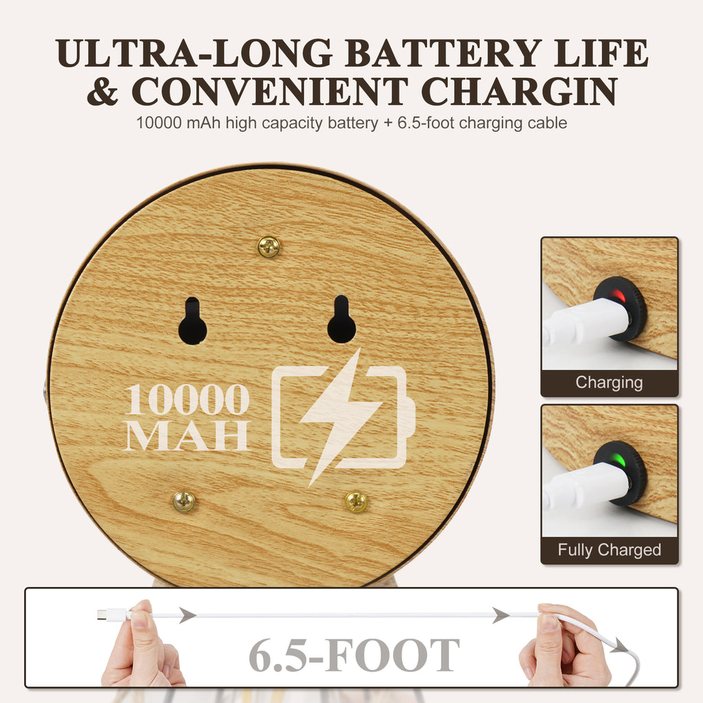 N06 Battery Operated Rustic Wall Sconces with Remote for All Home Styles