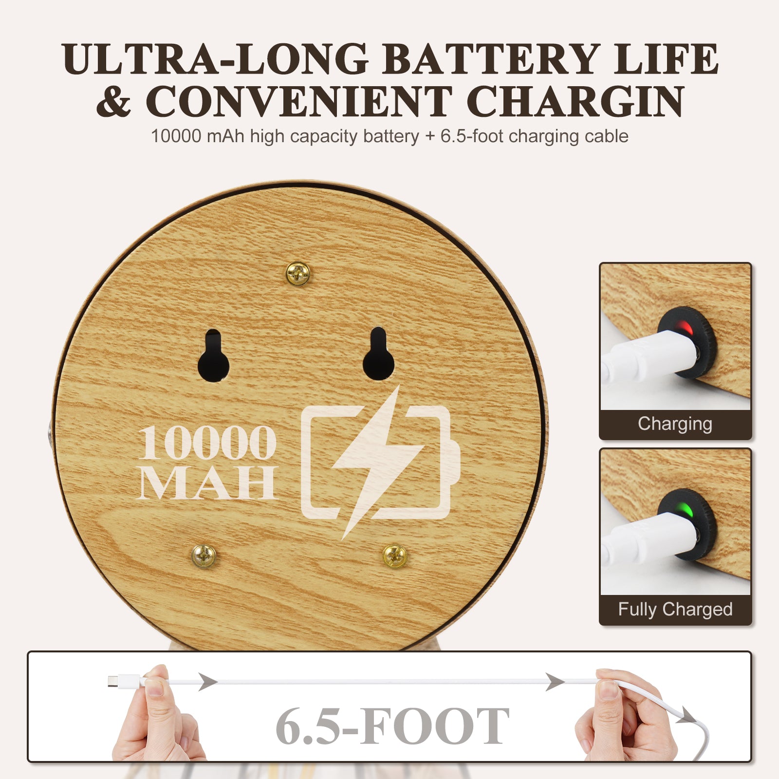 N06 Battery Operated Rustic Wall Sconces with Remote for All Home Styles